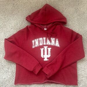 Indiana University cropped hoodie